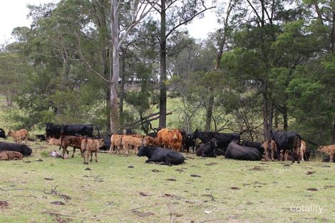 Property photo of 9985 Princes Highway Cobargo NSW 2550