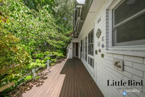 Property photo of 31 Arthur Circle Griffith ACT 2603