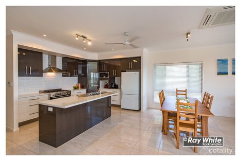 Property photo of 16 Zamia Court Norman Gardens QLD 4701