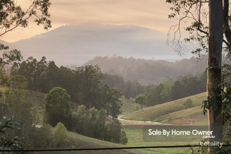 423 Commissioners Creek Rd, Commissioners Creek, NSW 2484