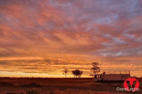 Property photo of 334 Bassett Lane Roma QLD 4455