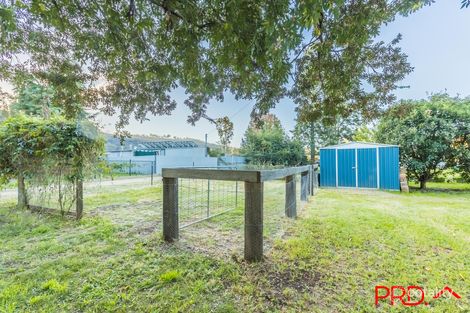 Property photo of 17-19 Frederick Street Woolomin NSW 2340
