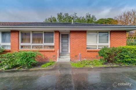 2/17 John St, Blackburn, VIC 3130