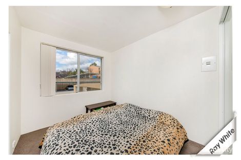 Property photo of 45/6 Heard Street Mawson ACT 2607