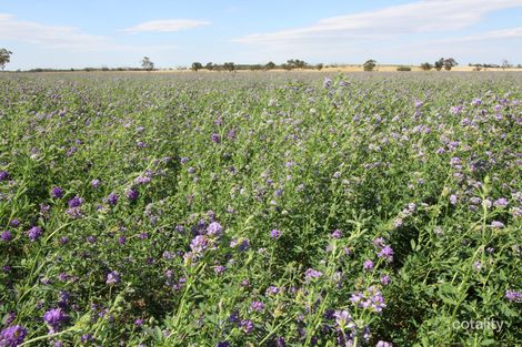 213 Carousel Rd, Wirrega, SA 5267