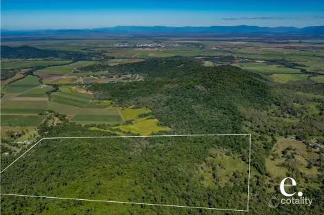 Property photo of 1/2 Harris Road Strathdickie QLD 4800