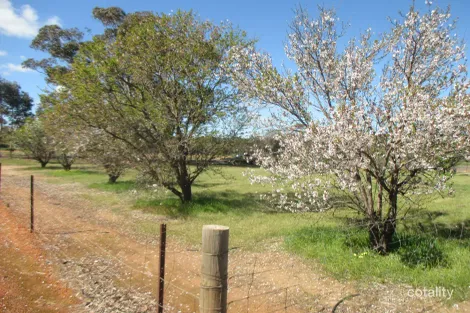 Property photo of 2 Harvey Street Dumbleyung WA 6350