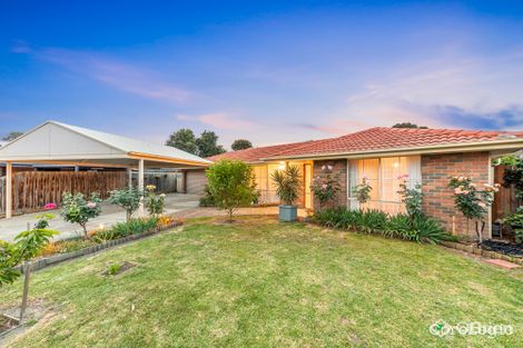 Property photo of 7 Yew Court Cranbourne North VIC 3977