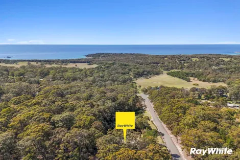 Property photo of 49 Spring Place Bingie NSW 2537