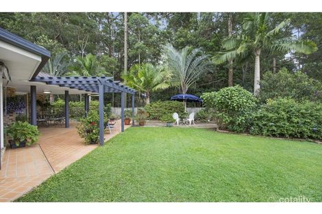 Property photo of 6 Christobel Close Buderim QLD 4556