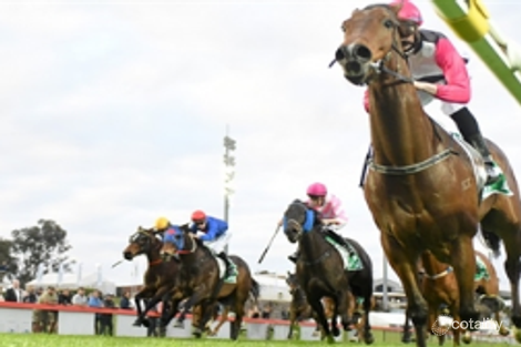 Property photo of 1-65 Nugget Way Cranbourne East VIC 3977