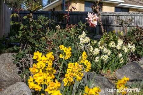 Property photo of 9 Jantina Place Kingston TAS 7050