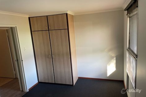 Property photo of 7 Mullgunbah Avenue Newman WA 6753