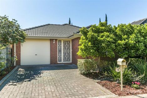 10 Pritchard Ct, Camden Park, SA 5038