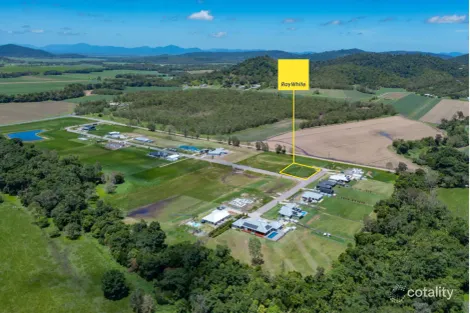 Property photo of 4 Sugar Lane Cannon Valley QLD 4800