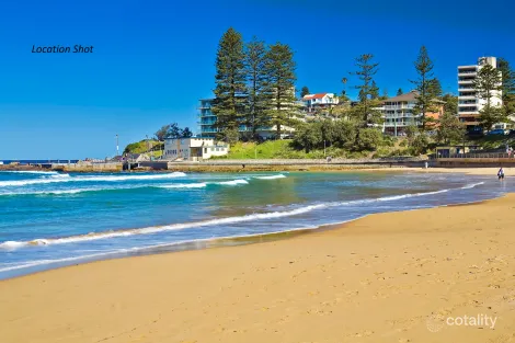 Property photo of 8/14 Grafton Crescent Dee Why NSW 2099