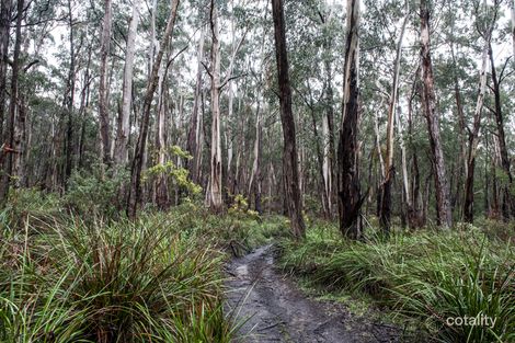 Property photo of 170 Caspers Access Forrest VIC 3236