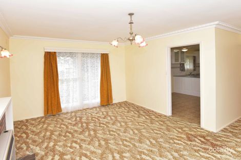 Property photo of 23 Sheridan Street Hamlyn Heights VIC 3215