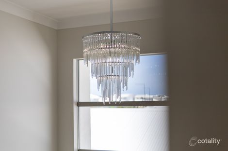 Property photo of 7 Boab Circuit Nirimba QLD 4551