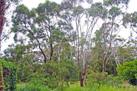 79 Hawkins Lane, Bolwarra, VIC 3305