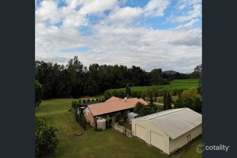Property photo of 111 Messmate Road Upper Stone QLD 4850