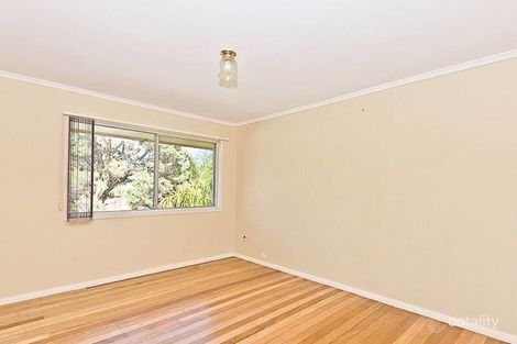 Property photo of 20 Pirramurra Street Bracken Ridge QLD 4017