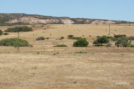 128 Harmony Pl, White Peak, WA 6532