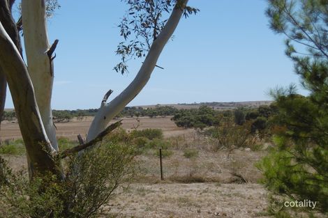 Property photo of 59 Head Road Huddleston SA 5523