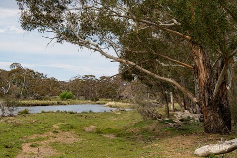 245 Tranquility Lane, Dalgety, NSW 2628