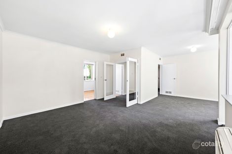 Property photo of 3/73 Alma Road St Kilda VIC 3182