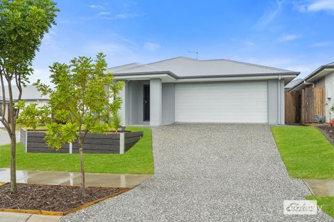 62 Welford Cct, Yarrabilba, QLD 4207