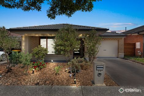 49 Viridian Ave, Officer, VIC 3809