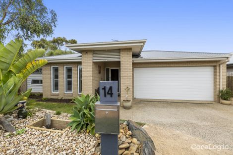 Property photo of 14 Swamp Gum Drive Torquay VIC 3228