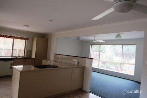 Property photo of 6 Rosewood Court Mullumbimby NSW 2482