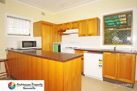 Property photo of 4 Louisa Avenue Cardiff NSW 2285
