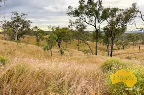 Monto Mount Perry Rd, Mungy, QLD 4671