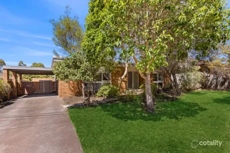 Property photo of 41 Sandringham Parade Newtown VIC 3220