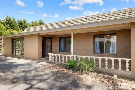 8/53 Chapel St, Cowes, VIC 3922