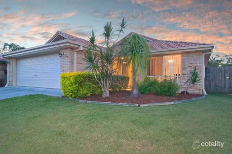 66 Murrumbidgee St, Hillcrest, QLD 4118