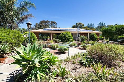 Property photo of 8 Jacob Road Willyaroo SA 5255