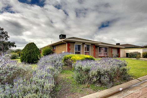 Property photo of 1 Oakhill Crescent Morphett Vale SA 5162