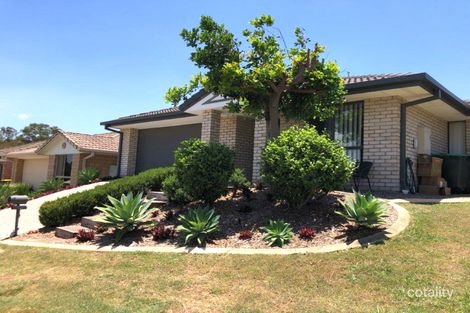 Property photo of 13 Jasmine Street Wakerley QLD 4154