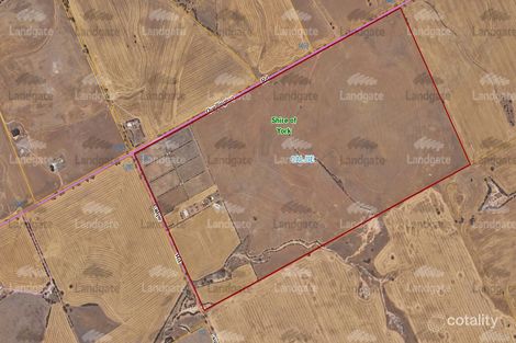 1352 Quellington Rd, Caljie, WA 6302