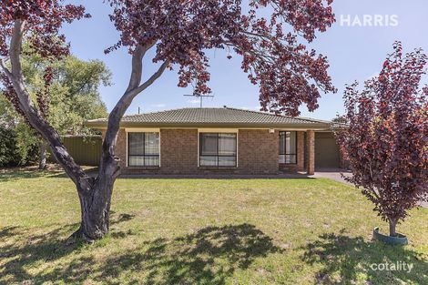 Property photo of 1/6 Meadowvale Road Modbury SA 5092