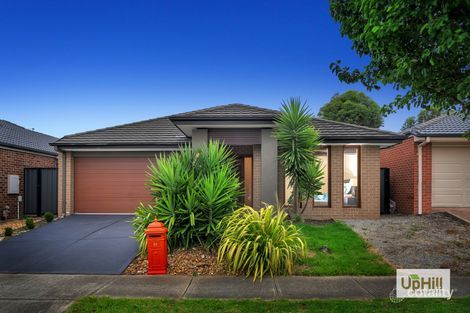 31 Falabela Rd, Clyde North, VIC 3978