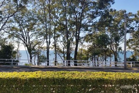 Property photo of 80 Eagle Terrace Sandgate QLD 4017