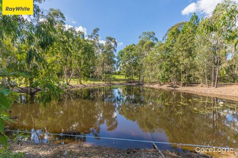 Property photo of 193 McClintock Road Wamuran QLD 4512