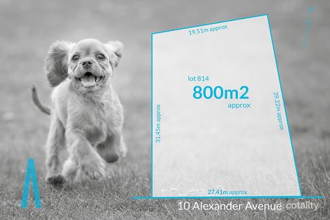 Property photo of 10 Alexander Avenue Klemzig SA 5087