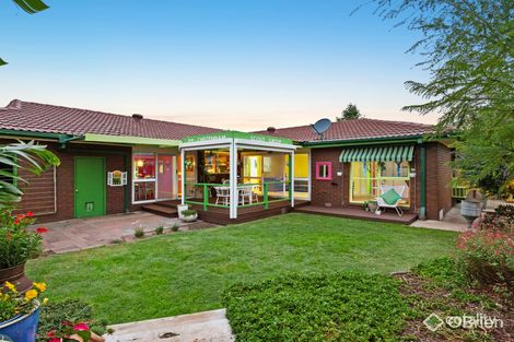 Property photo of 9 Siede Court Cheltenham VIC 3192