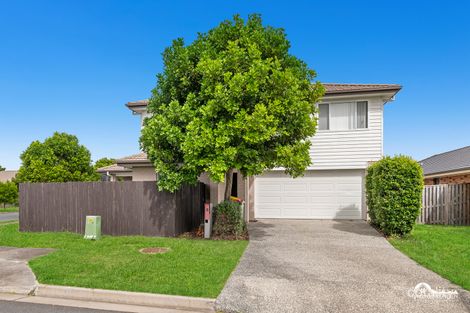 Property photo of 6 Maybush Way Pimpama QLD 4209